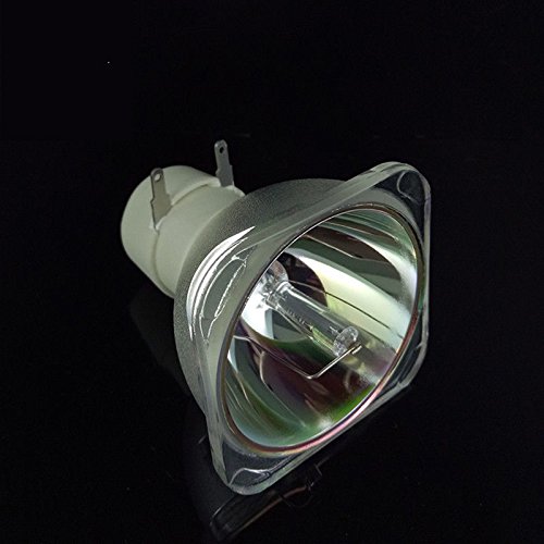 Amazon.co.jp: Brighter Lamp LV-LP40 (裸電球) プロジェクター交換用